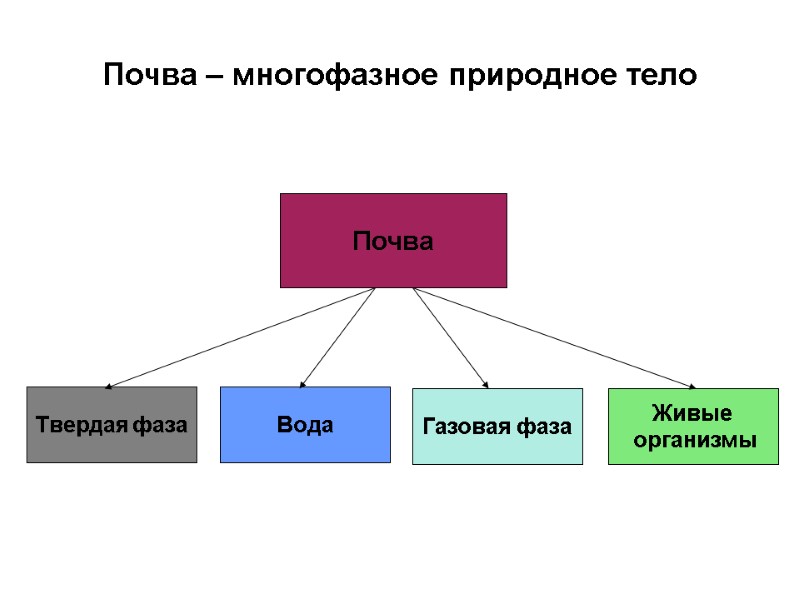 Почва – многофазное природное тело Вода Твердая фаза Почва Газовая фаза Живые  организмы